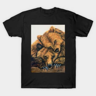 Two Bears In A Bear Hug T-Shirt